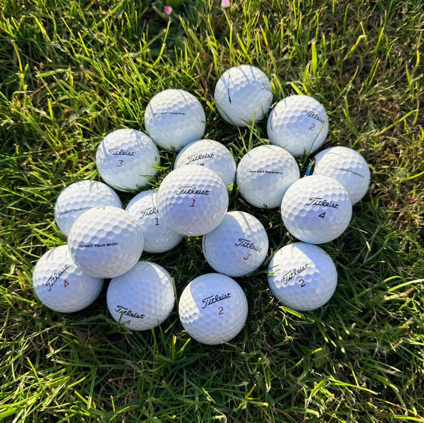 Titleist - NXT Tour