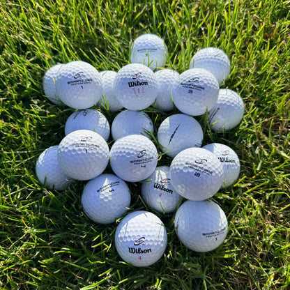 Wilson Smart-Core